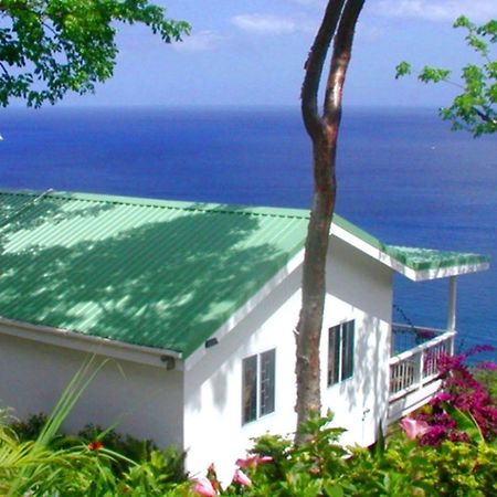 マリーゴット・ベイ Nature'S Paradise Bed & Breakfast エクステリア 写真