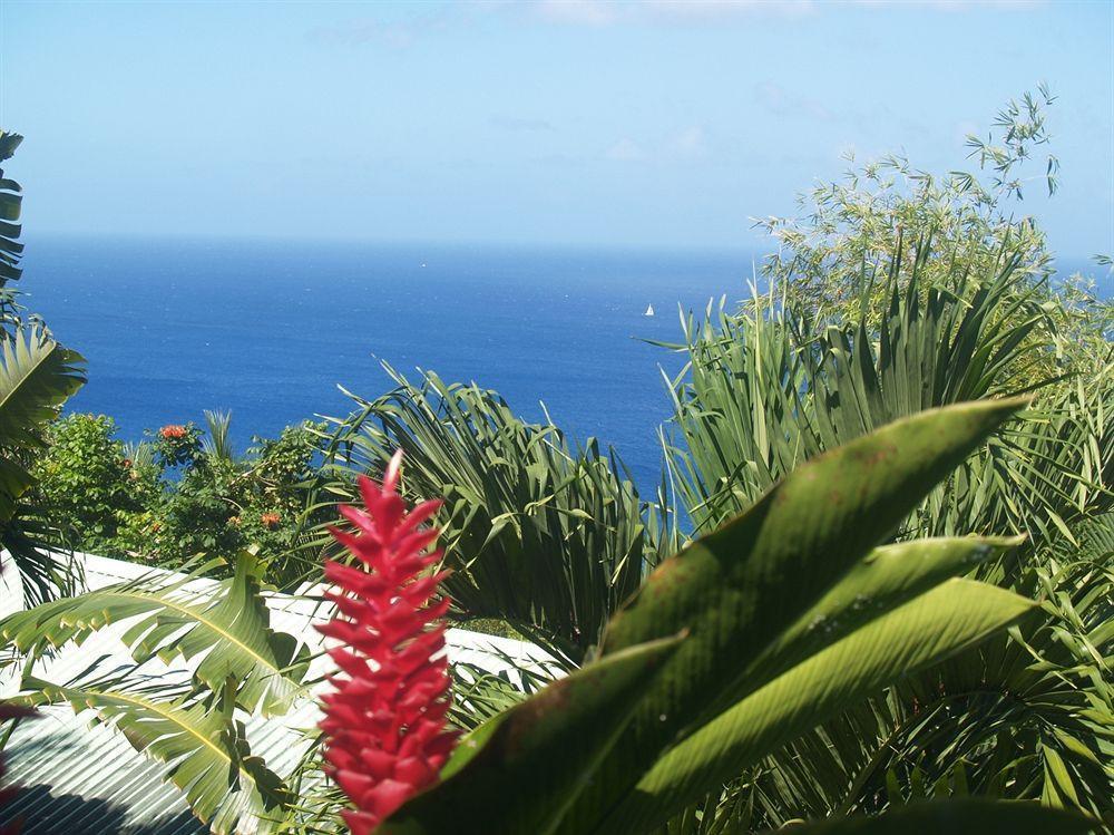 マリーゴット・ベイ Nature'S Paradise Bed & Breakfast エクステリア 写真