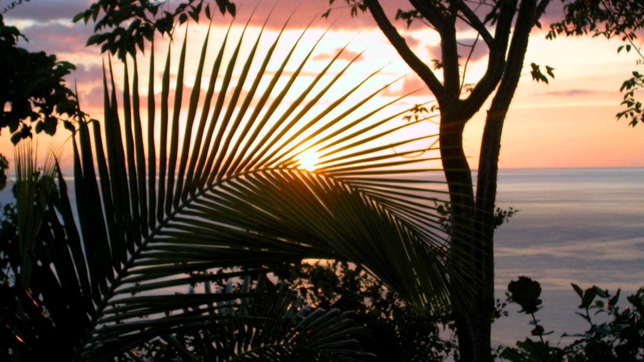 マリーゴット・ベイ Nature'S Paradise Bed & Breakfast エクステリア 写真