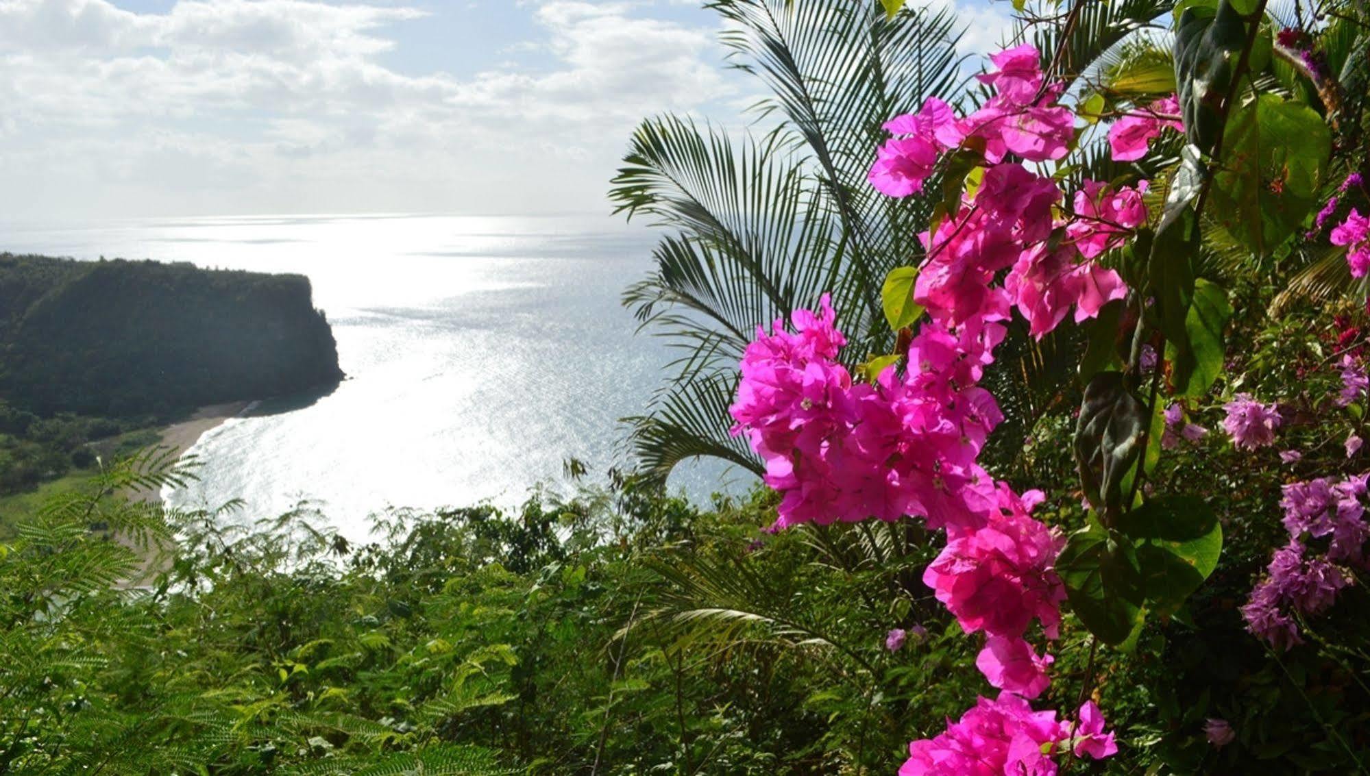 マリーゴット・ベイ Nature'S Paradise Bed & Breakfast エクステリア 写真